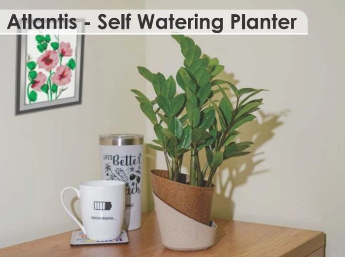 Atlantic- Self Watering Planter
