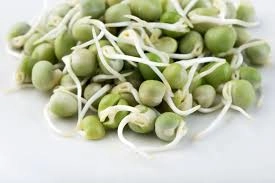 Sprouted Green Peas | हिरवे वाटाणे