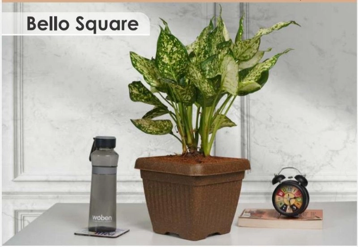 Bello Square -Eco Series Planters
