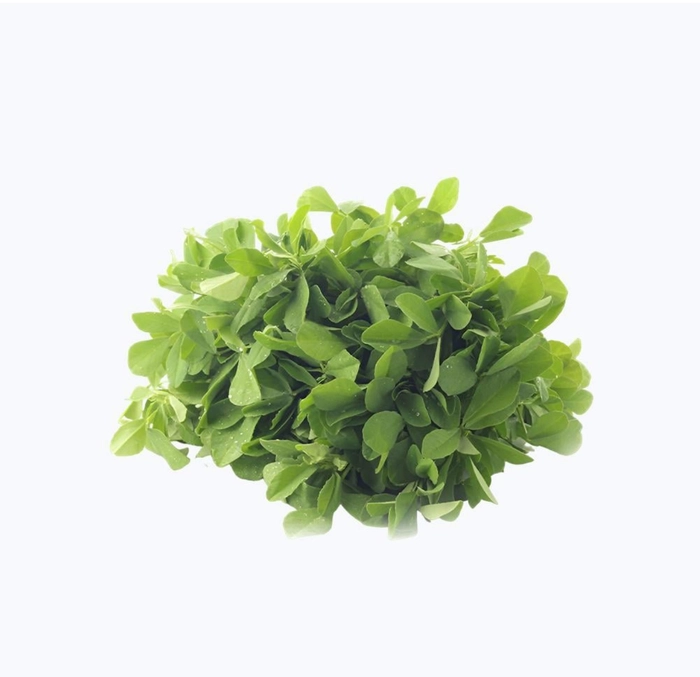 Methi (Fenugreek) - 250g