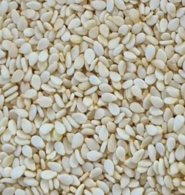 White Sesame/ తెల్ల నువ్వులు 100gms