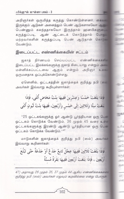 Fiqhus Sunnah -  Set 1-12 Vol (IFT)