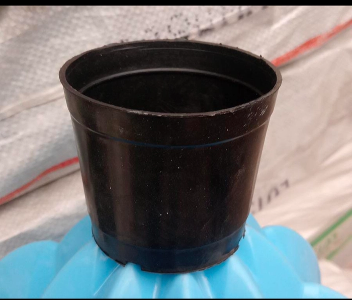 Nursery pot 3" Black