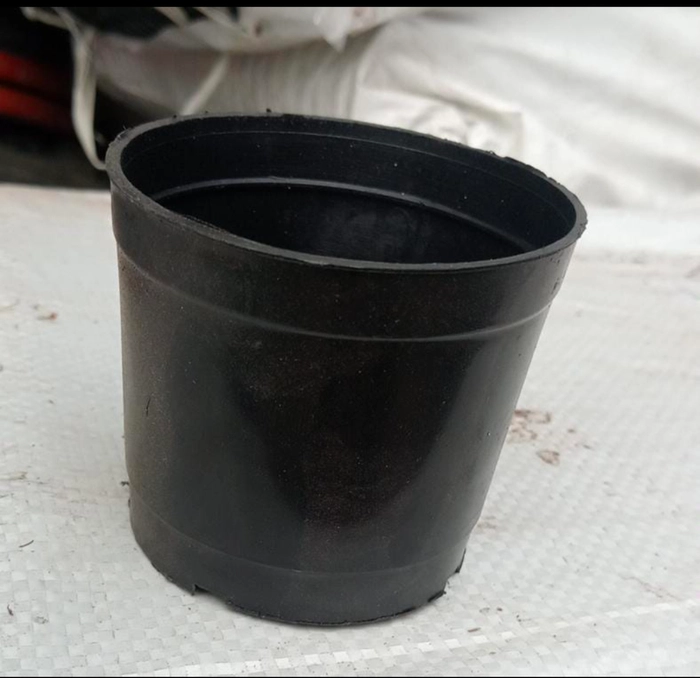 Nursery pot 3" Black