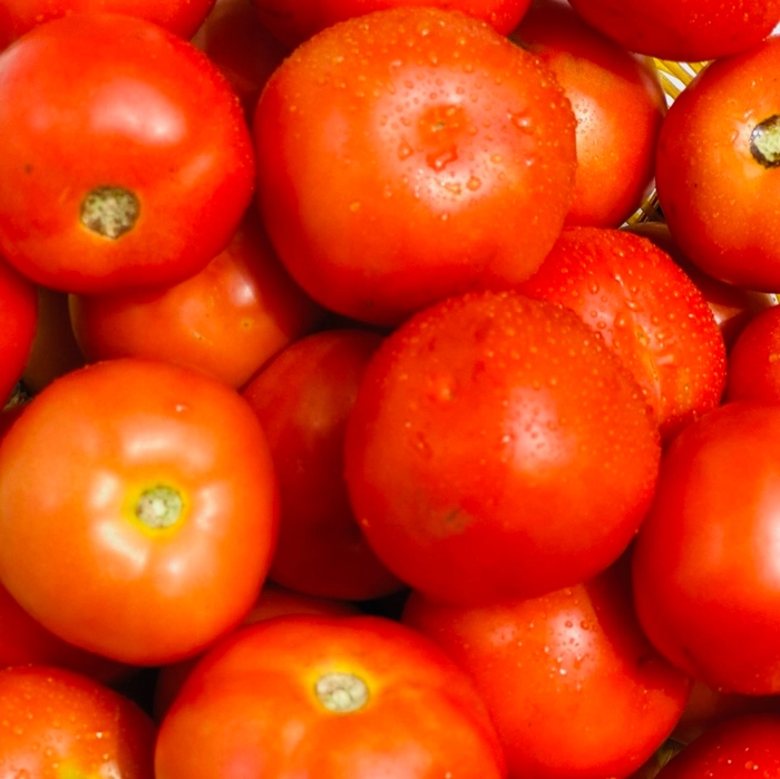 Desi Tomato |  गावरान टमाटं