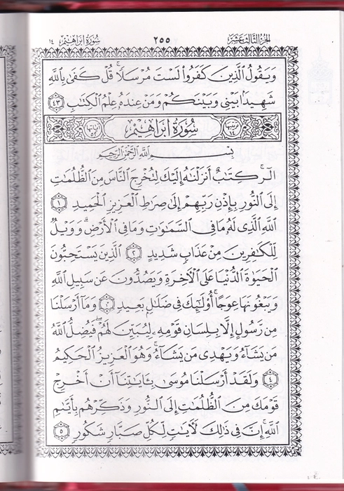 123 Quran Usmani (Dan)