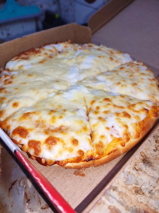 Cheese Burst Pizza