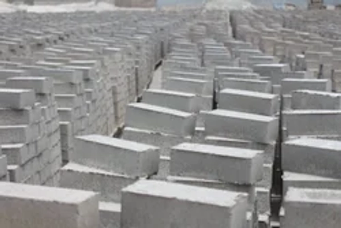 JAVA FLY Ash Bricks