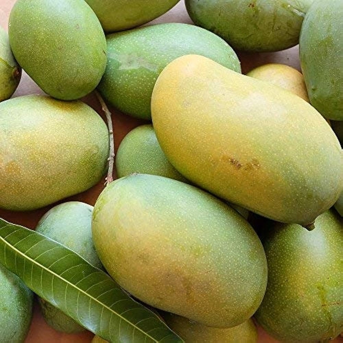 Mango Mallika from Bihar