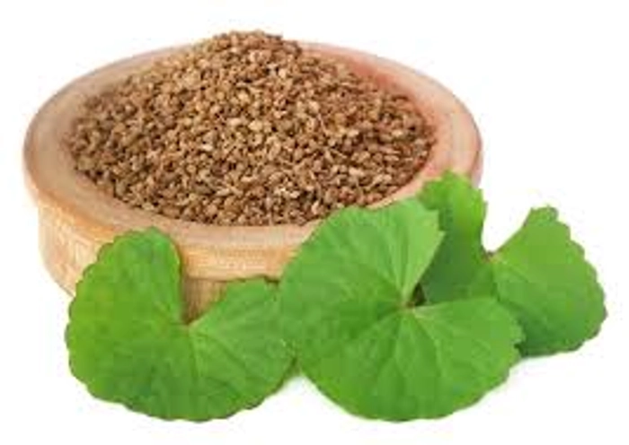 Carom seeds / Ajwain