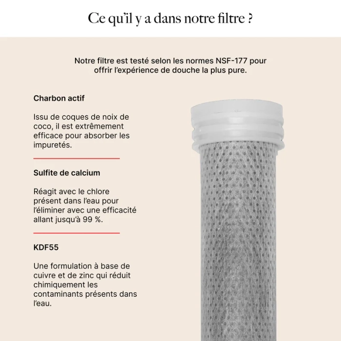 Pommeau Douche Filtrant : Éclat Peau & Cheveux