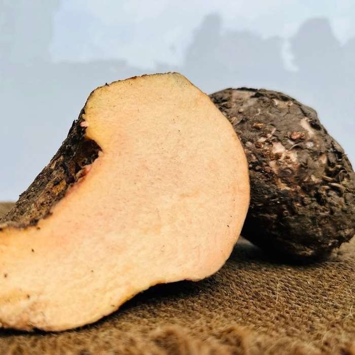 Yam | सुरण