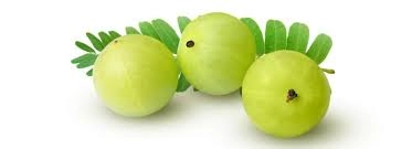 Indian Gooseberry / Avla | आवळा