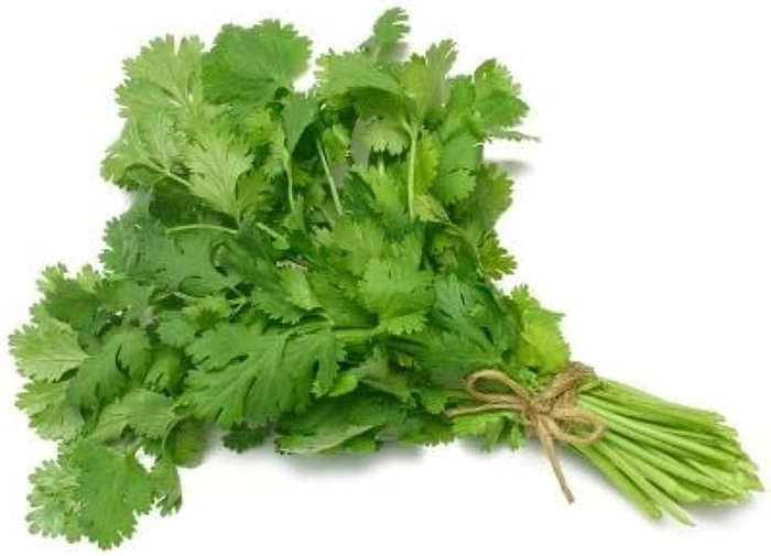 CORIANDER LEAVES