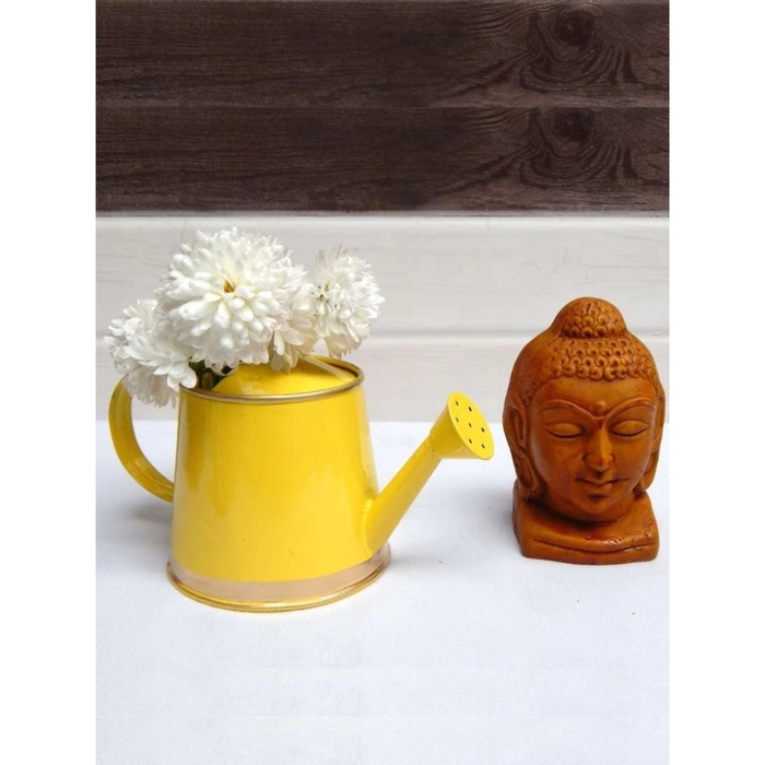 Mini Watering Can - 250 ml