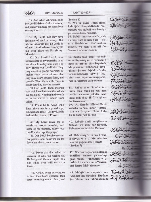 Holy Quran (A/E/R) Pickthal-Has