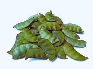 Field Beans / Hyacinth Beans | पावटं