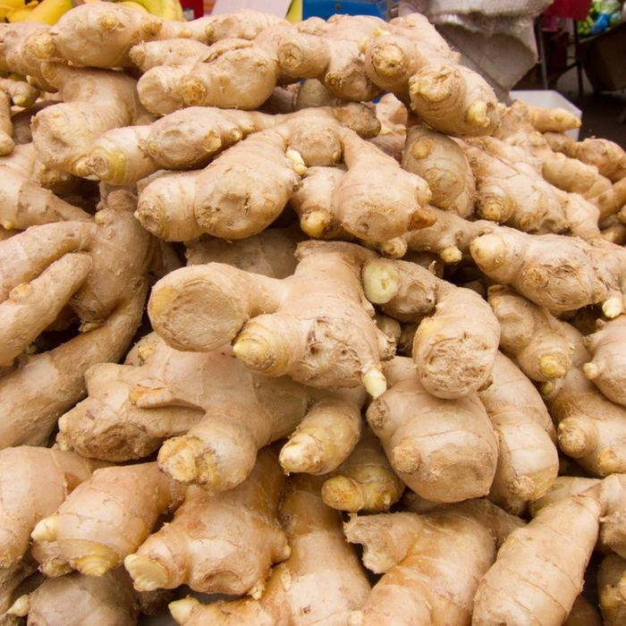 Ginger | आले