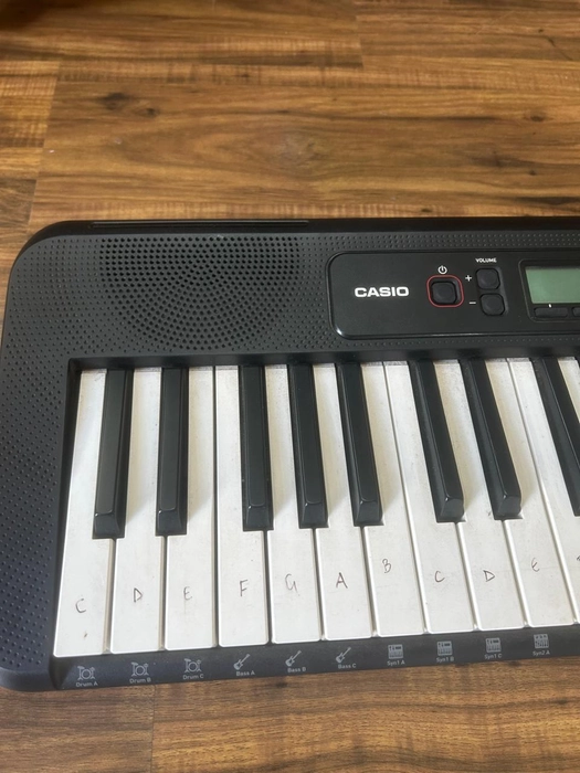 Casiotone CTS200