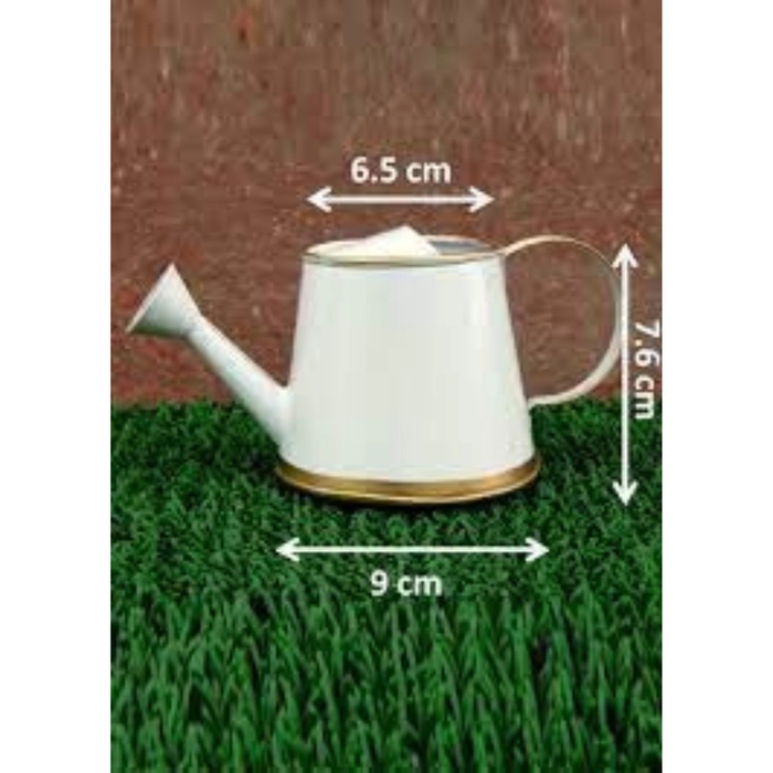 Mini Watering Can - 250 ml