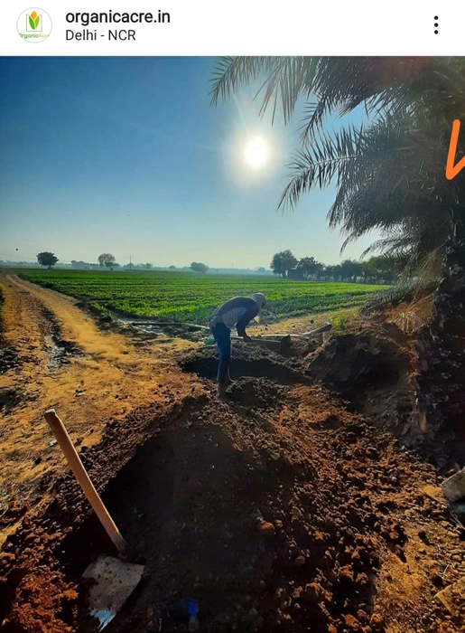 VIRGIN 50KG BULK Organic Acre