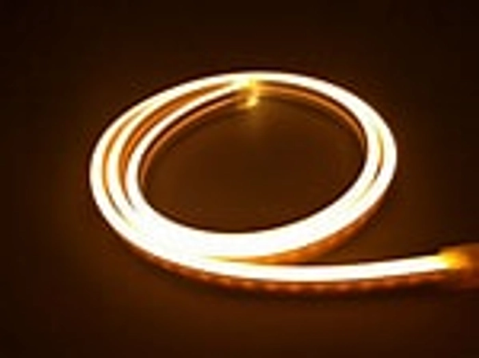 Neon Flexible Strip Light