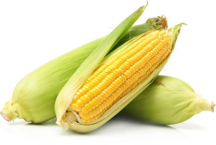 Sweet Corn - Whole