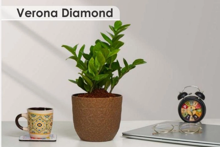 Verona Diamond Planter