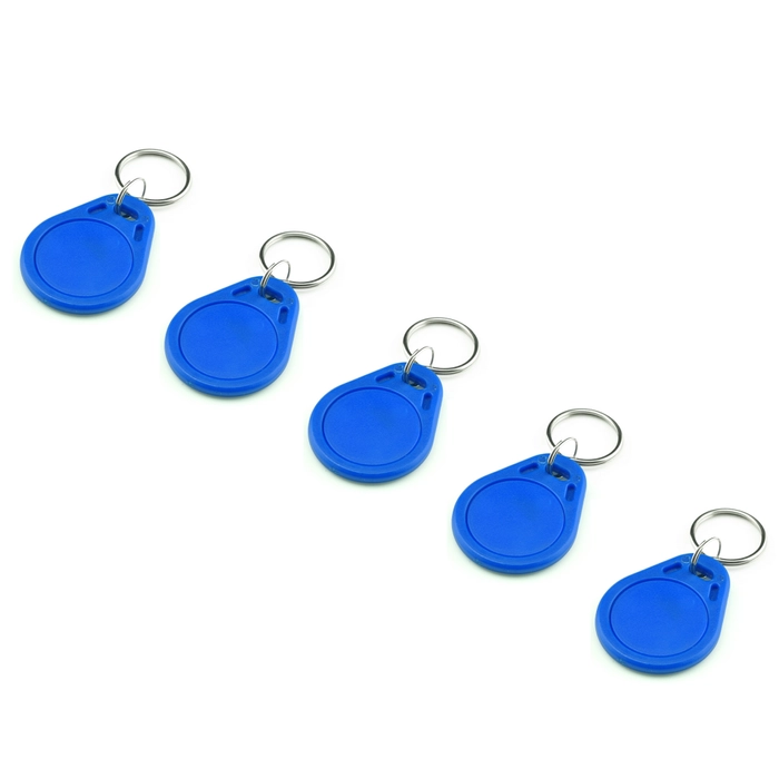 125KHz RFID Tag -  5pcs