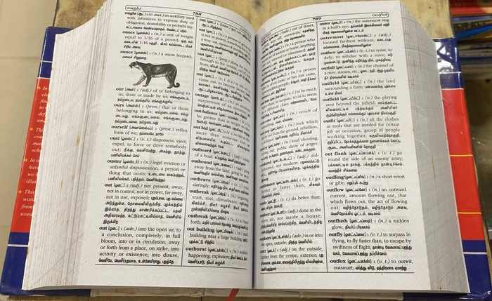 Illustrated Dictionary (E/E/T) (NCBH)