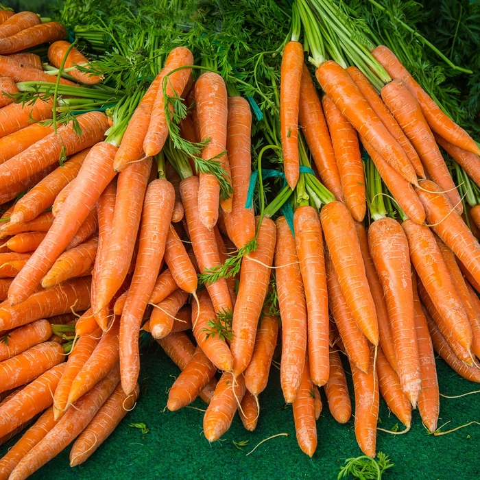 Carrots | गाजरं