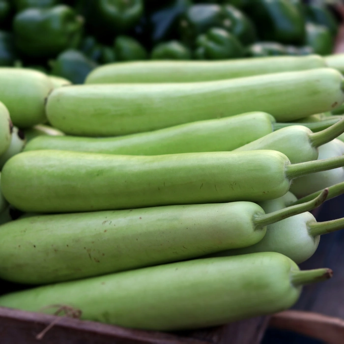 Bottle Gourd | दुधी भोपळा