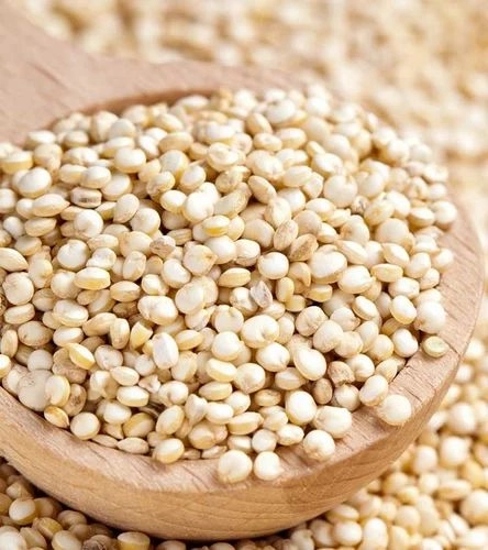 Organic Quinoa (White) / Quinoa Processed