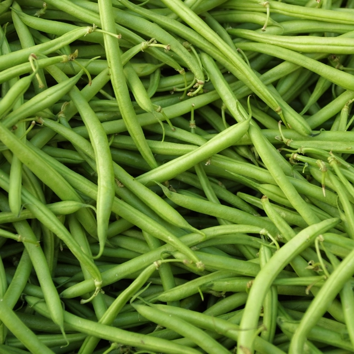 French Beans | फरसबी