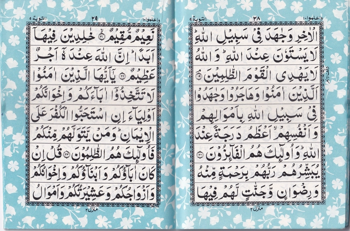 P900 Quran 1/30 (Blue) -Has