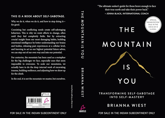 The Mountain Is You: Transforming Self-Sabotage Into Self-Mastery