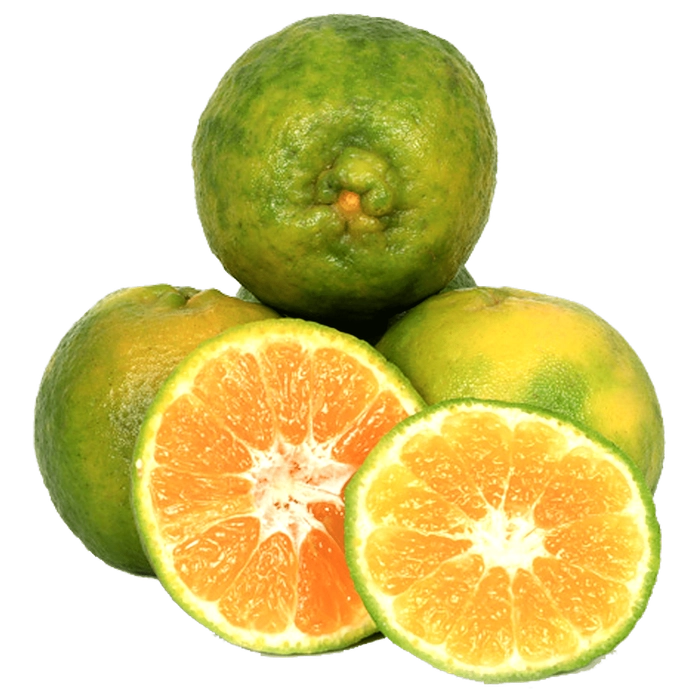 Nagpur Orange - 1kg