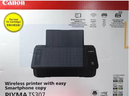 Canon PIXMA TS307 Single Function WiFi Color Inkjet Printer  (Ink Cartridge)