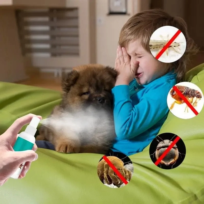 splideImage