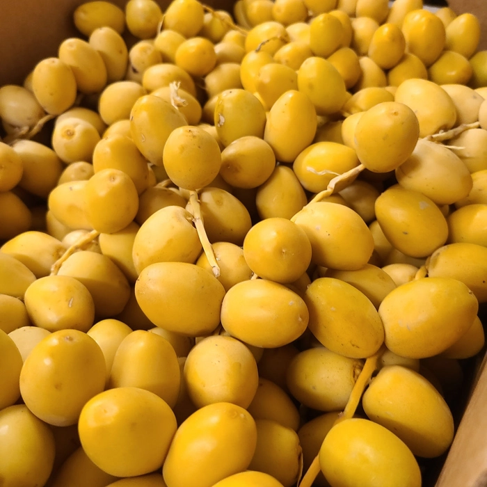 Fresh Dates (Khajoor) Yellow