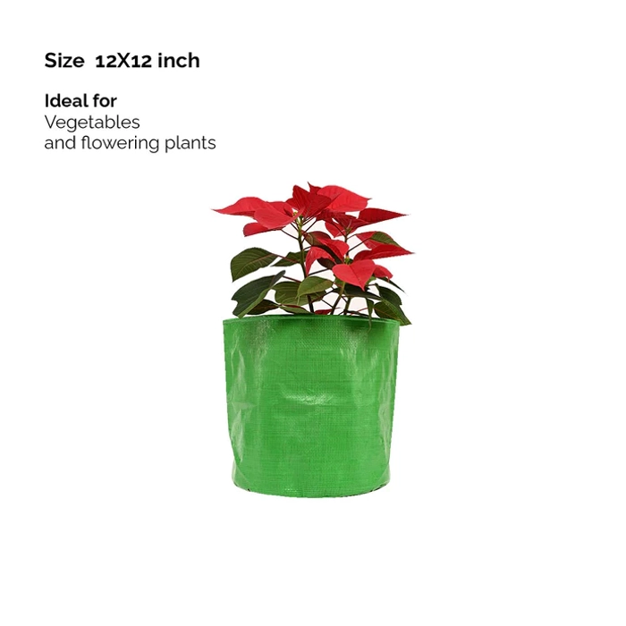 Growbag (12x12in)