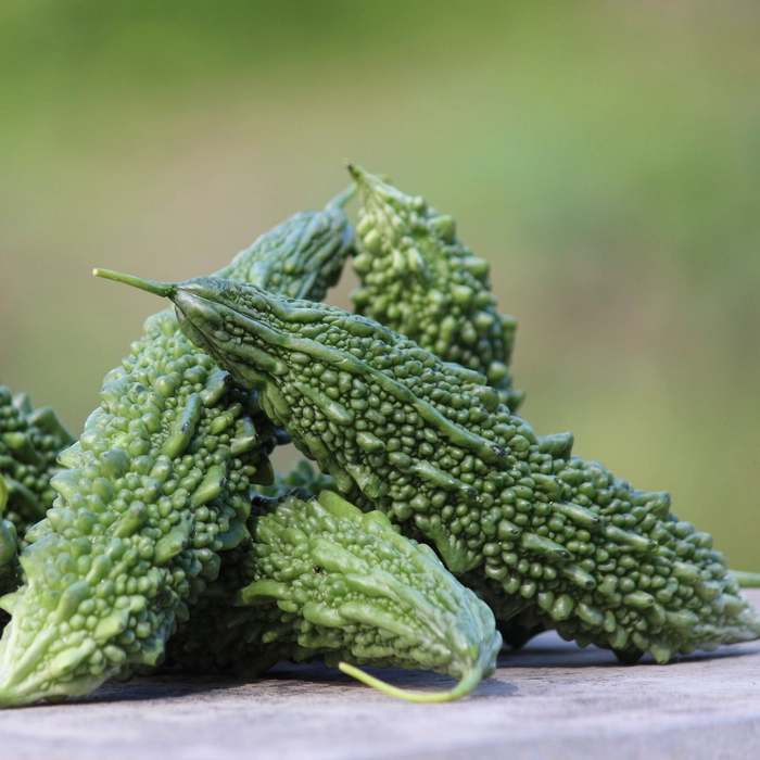 Bitter Gourd | करेला