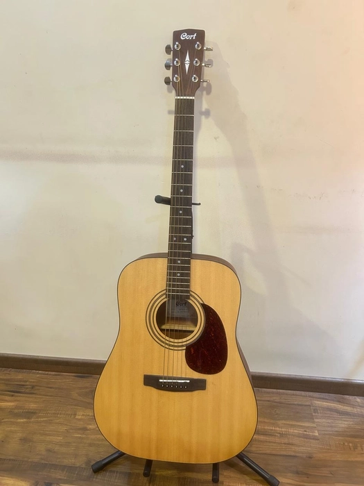 Cort Earth 60