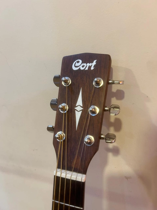 Cort Earth 60