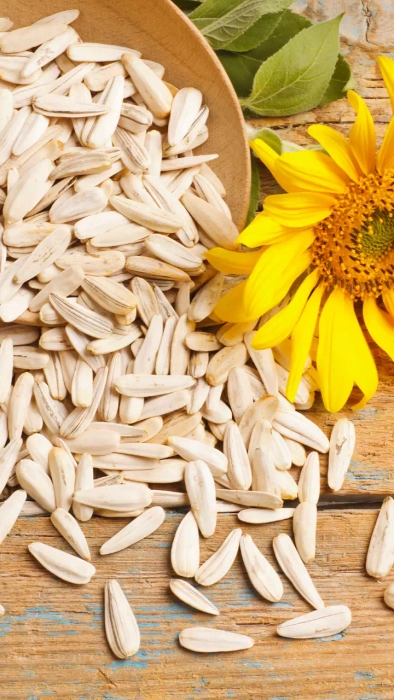 Organic Sunflower Seed / Sunflower Seeds (Deshi)
