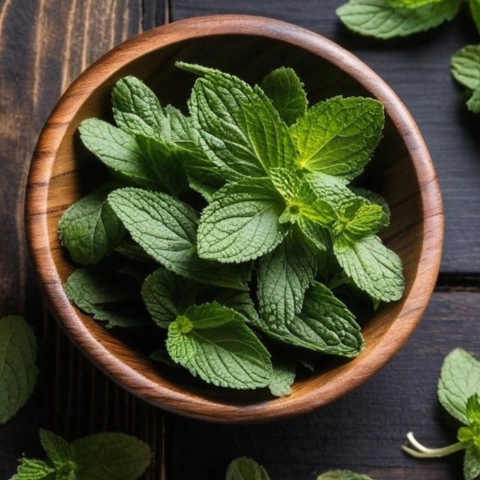 Mint | पुदीना