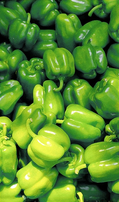 Capsicum | शिमला मिरची