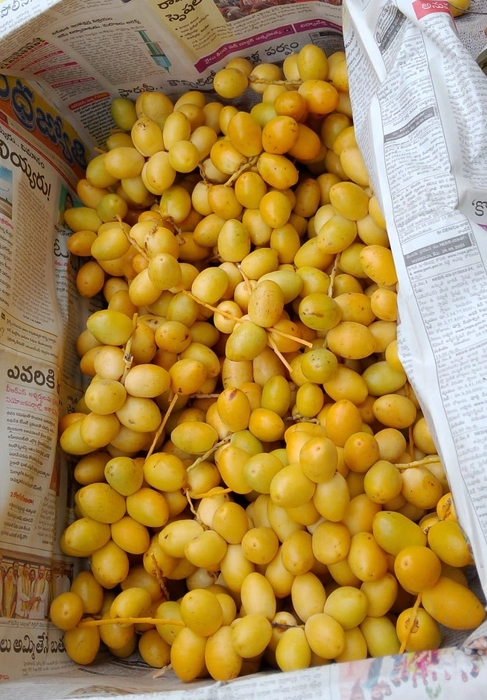 Fresh Dates (Khajoor) Yellow