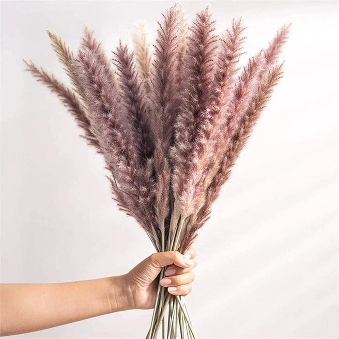 Single Stick Natural Brown Color Natural Dried Reed Plumes For Cake Decoration