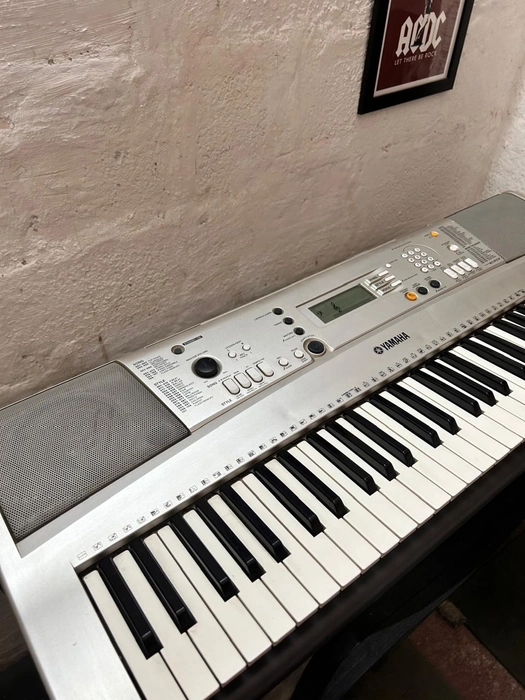 Yamaha E313